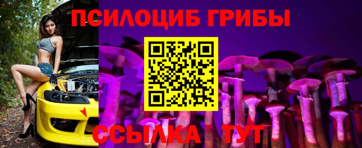 Галлюциногенные грибы Psilocybe Одинцово